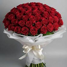 Букет 101 Красная роза Блэк Мэджик в Лебяжьем Алтайского края