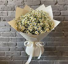Букет цветов из:  Ромашки в Лебяжьем Алтайского края