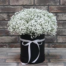 Цветочная композиция из Гипсофила в шляпной коробке в Лебяжьем Алтайского края