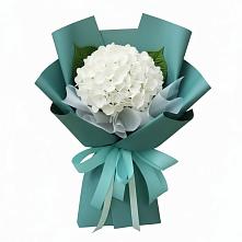 Букет цветов из:  Гортензия в Лебяжьем Алтайского края